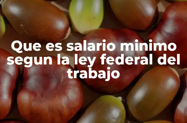 Que es Salario Minimo Segun la Ley Federal Del Trabajo