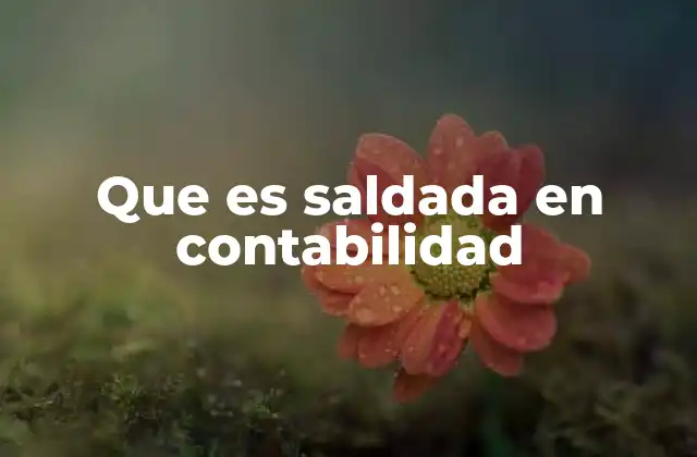 Que es Saldada en Contabilidad