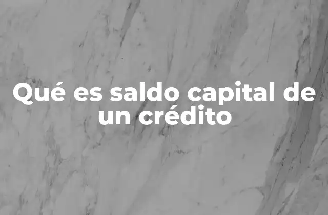 Qué es Saldo Capital de un Crédito