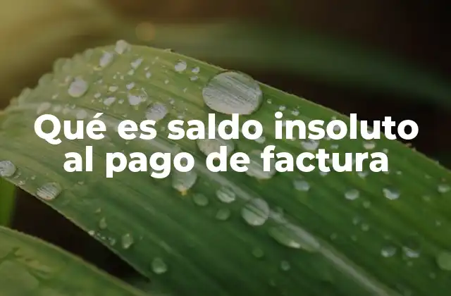 La importancia de llevar un control financiero con saldos insolutos