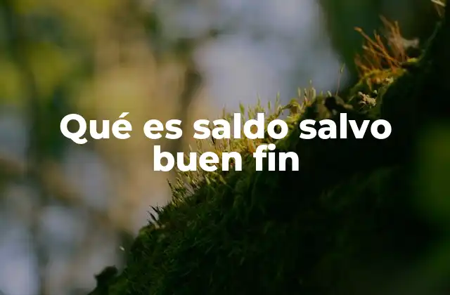 El rol del saldo salvo buen fin en la contabilidad