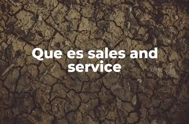 Que es Sales And Service