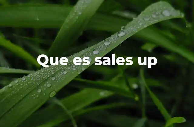 Que es Sales Up