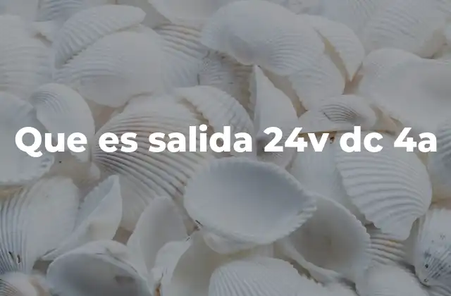 Que es Salida 24v Dc 4a