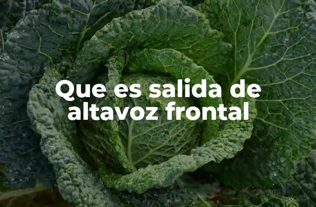 Que es Salida de Altavoz Frontal