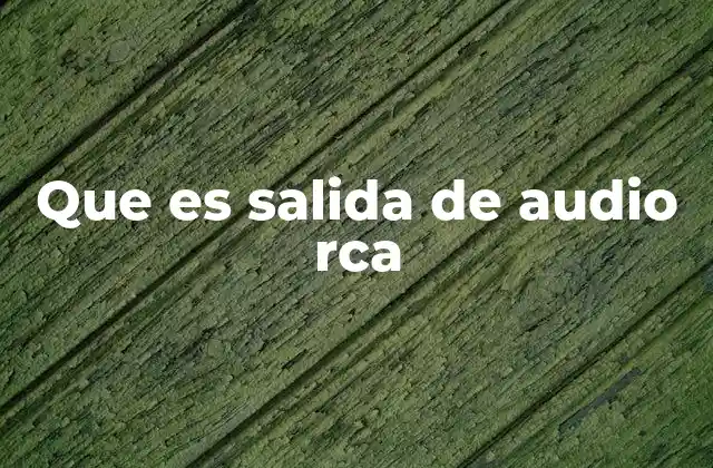 Que es Salida de Audio Rca