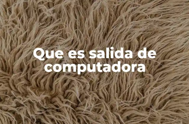 Que es Salida de Computadora