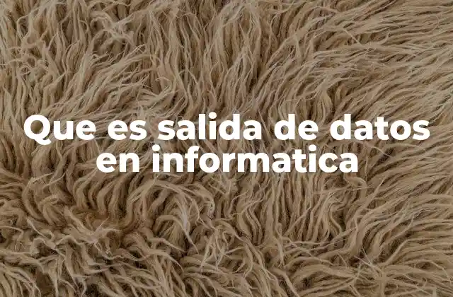 El papel de la salida de datos en el flujo de información