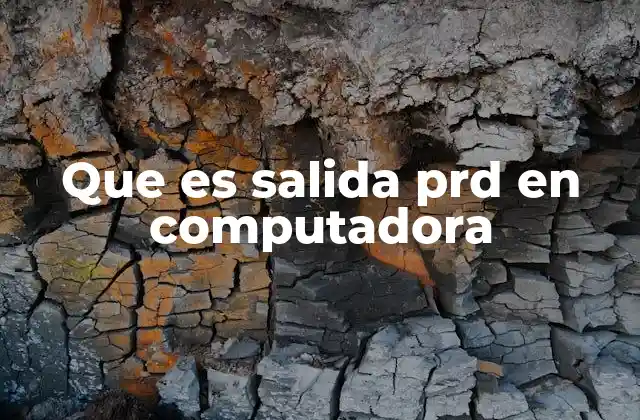 Que es Salida Prd en Computadora