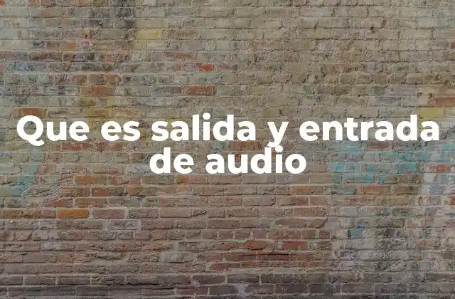 Que es Salida y Entrada de Audio
