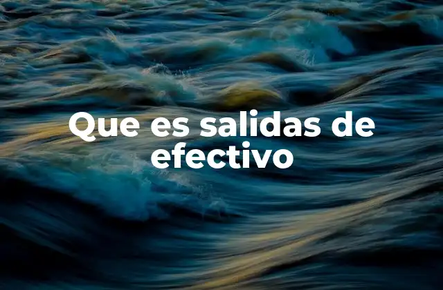 Que es Salidas de Efectivo 2 La importancia de controlar los egresos en el flujo de caja