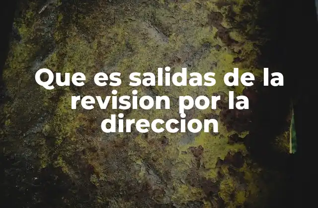 Que es Salidas de la Revision por la Direccion