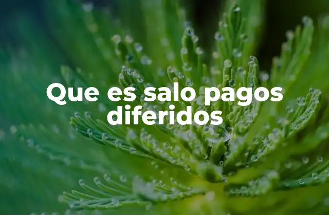El papel de los pagos diferidos en el entorno empresarial
