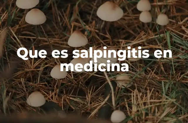 Causas y factores de riesgo de la salpingitis