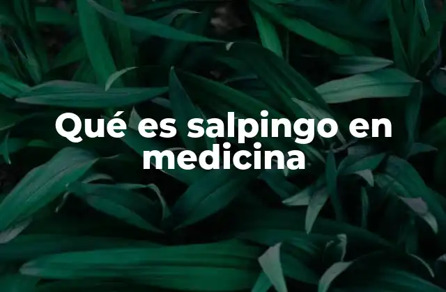 Qué es Salpingo en Medicina