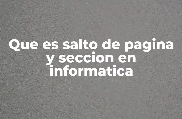Que es Salto de Pagina y Seccion en Informatica