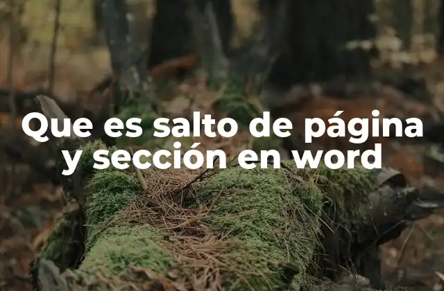 Que es Salto de Página y Sección en Word