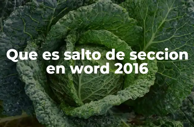Que es Salto de Seccion en Word 2016