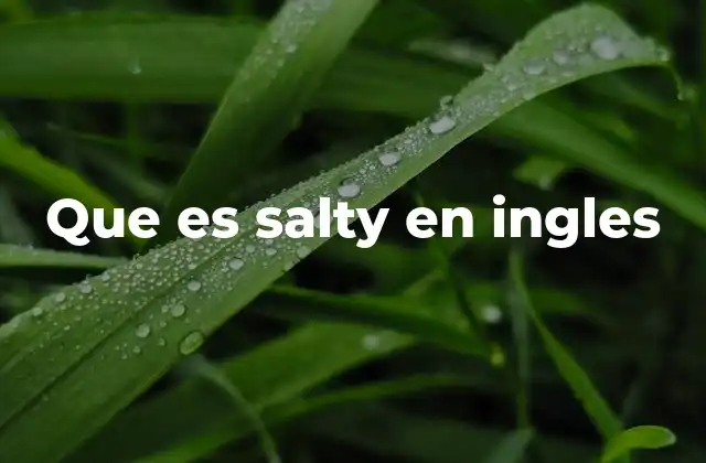 Que es Salty en Ingles