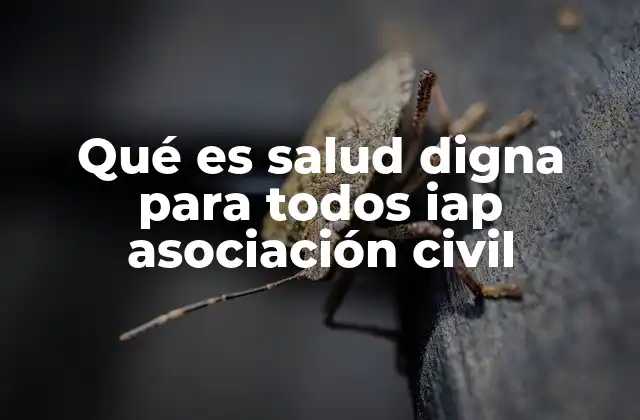 Qué es Salud Digna para Todos Iap Asociación Civil