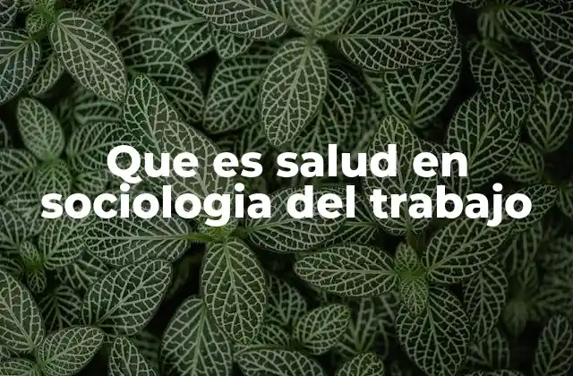 Que es Salud en Sociologia Del Trabajo