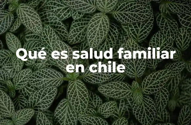Qué es Salud Familiar en Chile