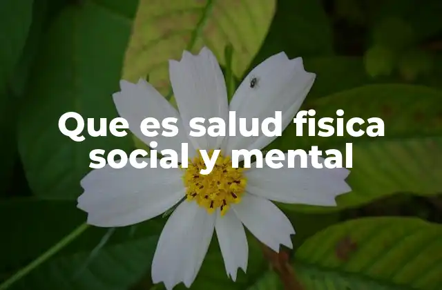 Que es Salud Fisica Social y Mental