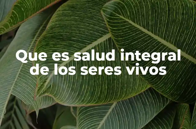 Que es Salud Integral de los Seres Vivos 2 La interdependencia entre salud y entorno natural