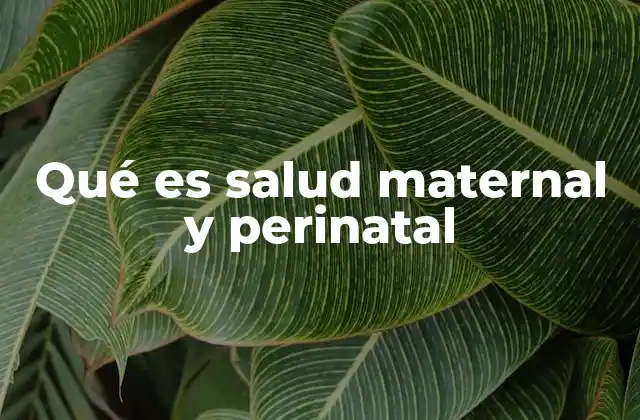 Qué es Salud Maternal y Perinatal 2 El impacto de la salud perinatal en la sociedad
