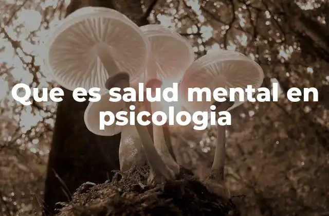 Que es Salud Mental en Psicologia