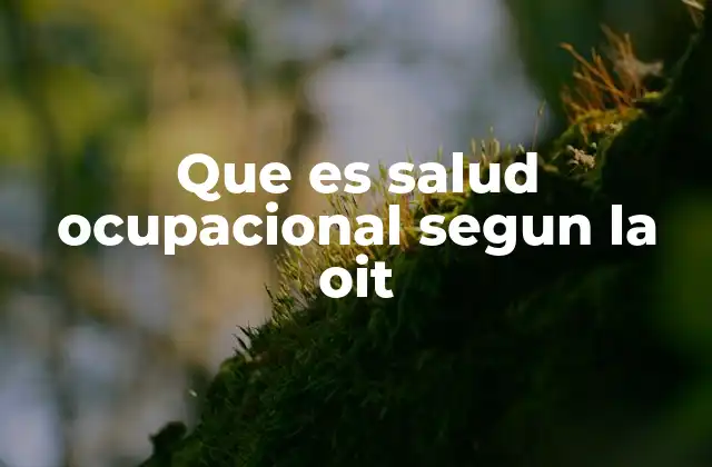 Que es Salud Ocupacional Segun la Oit