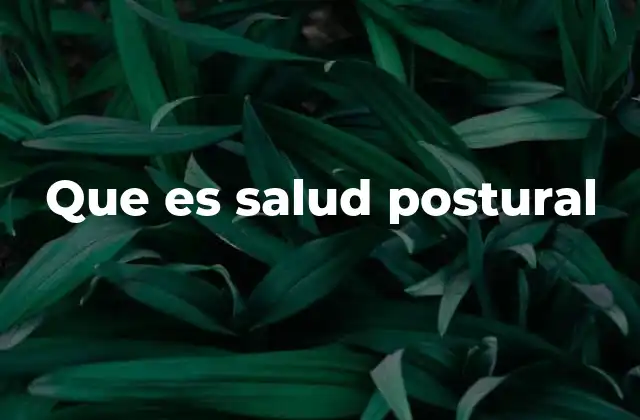 Que es Salud Postural
