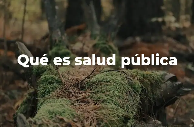 Qué es Salud Pública