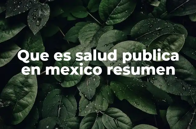 El papel de la salud pública en la sociedad mexicana
