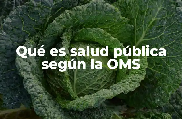 Qué es Salud Pública según la Oms