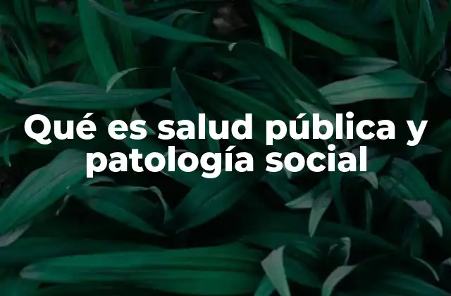 Qué es Salud Pública y Patología Social