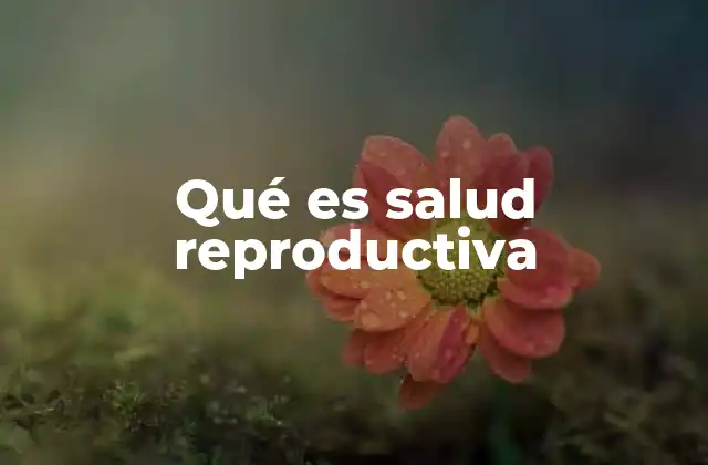 La importancia de abordar la salud reproductiva desde una perspectiva integral