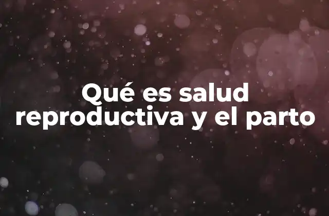 Qué es Salud Reproductiva y el Parto