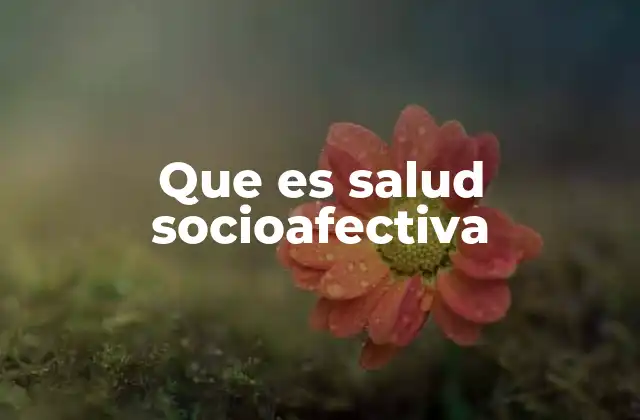 Que es Salud Socioafectiva
