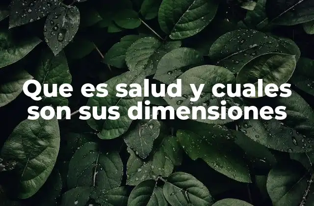 Que es Salud y Cuales Son Sus Dimensiones