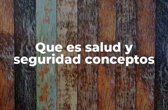 Que es Salud y Seguridad Conceptos