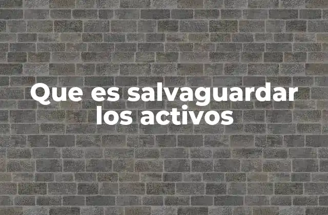 Que es Salvaguardar los Activos