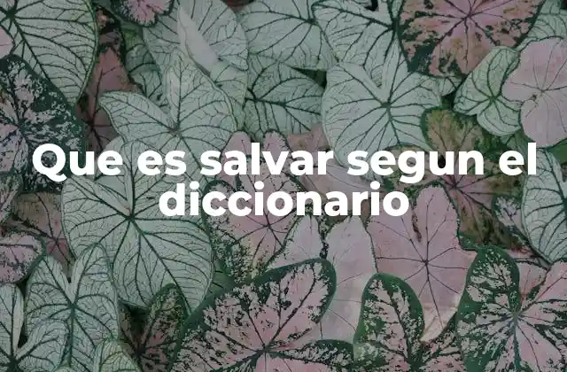 Que es Salvar Segun el Diccionario