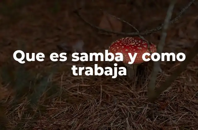 Que es Samba y como Trabaja