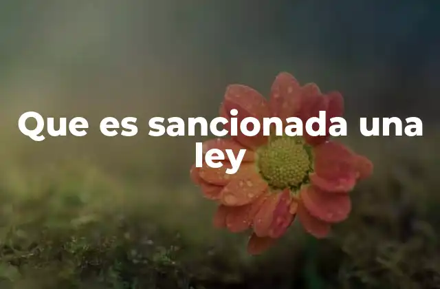 Que es Sancionada una Ley 2 El proceso legislativo y el papel de la sanción