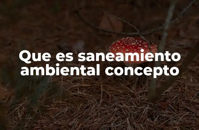 Que es Saneamiento Ambiental Concepto