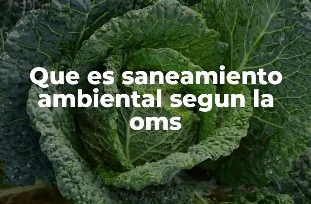 Que es Saneamiento Ambiental Segun la Oms