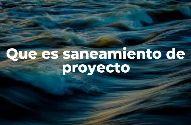 Que es Saneamiento de Proyecto