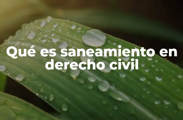 Qué es Saneamiento en Derecho Civil