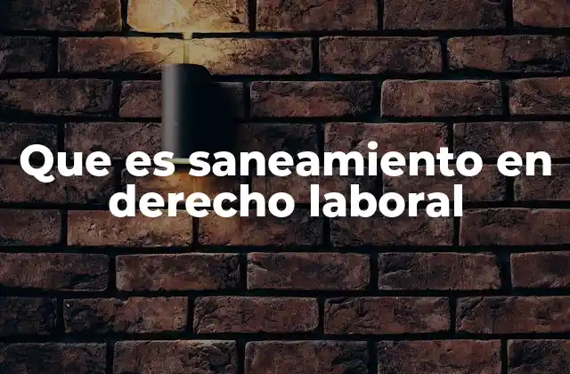 Que es Saneamiento en Derecho Laboral